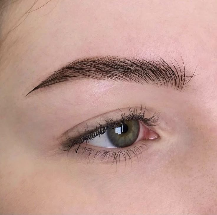 Brows Soft Angled Eyebrows, Soft Arch Eyebrows, Neat Eyebrows, Small Eyebrows, Clean Eyebrows, Red Eyebrows, Fuller Eyebrows, Straight Eyebrows, Straight Brows