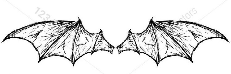 two bats drawn in black and white on a white background