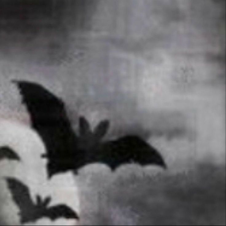 a black and white photo of a bat flying in the sky