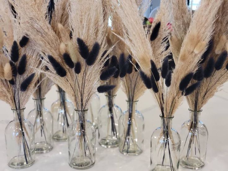 several glass vases with dried plants in them