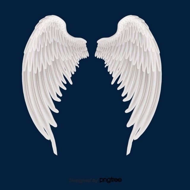 two white angel wings on a blue background