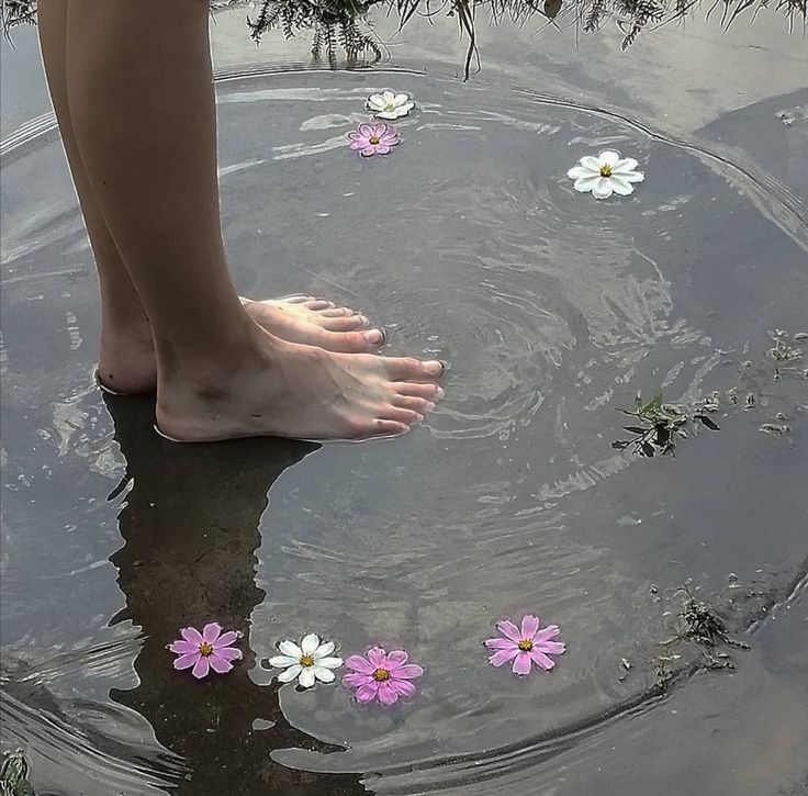 a person standing in water with pink and white flowers floating on it