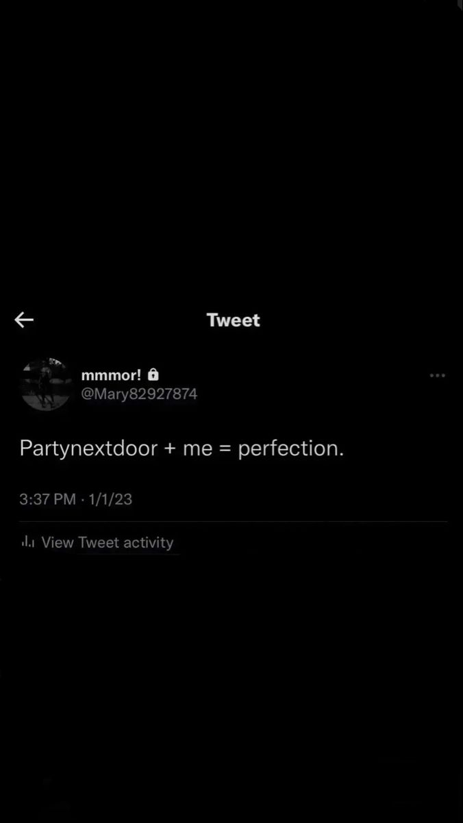 an image of a computer screen with the text partynextdoor me = perfectionion