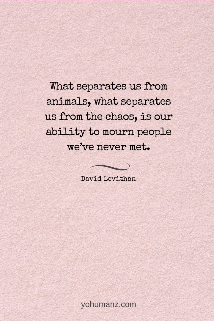 a quote from david leviian on what separates us from animals, what separates us from the chaos, is our ability to mourn people we've