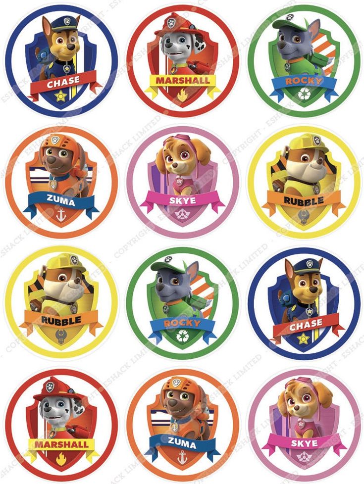 paw patrol cupcake toppers for birthdays and baby shower parties, with the characters on them