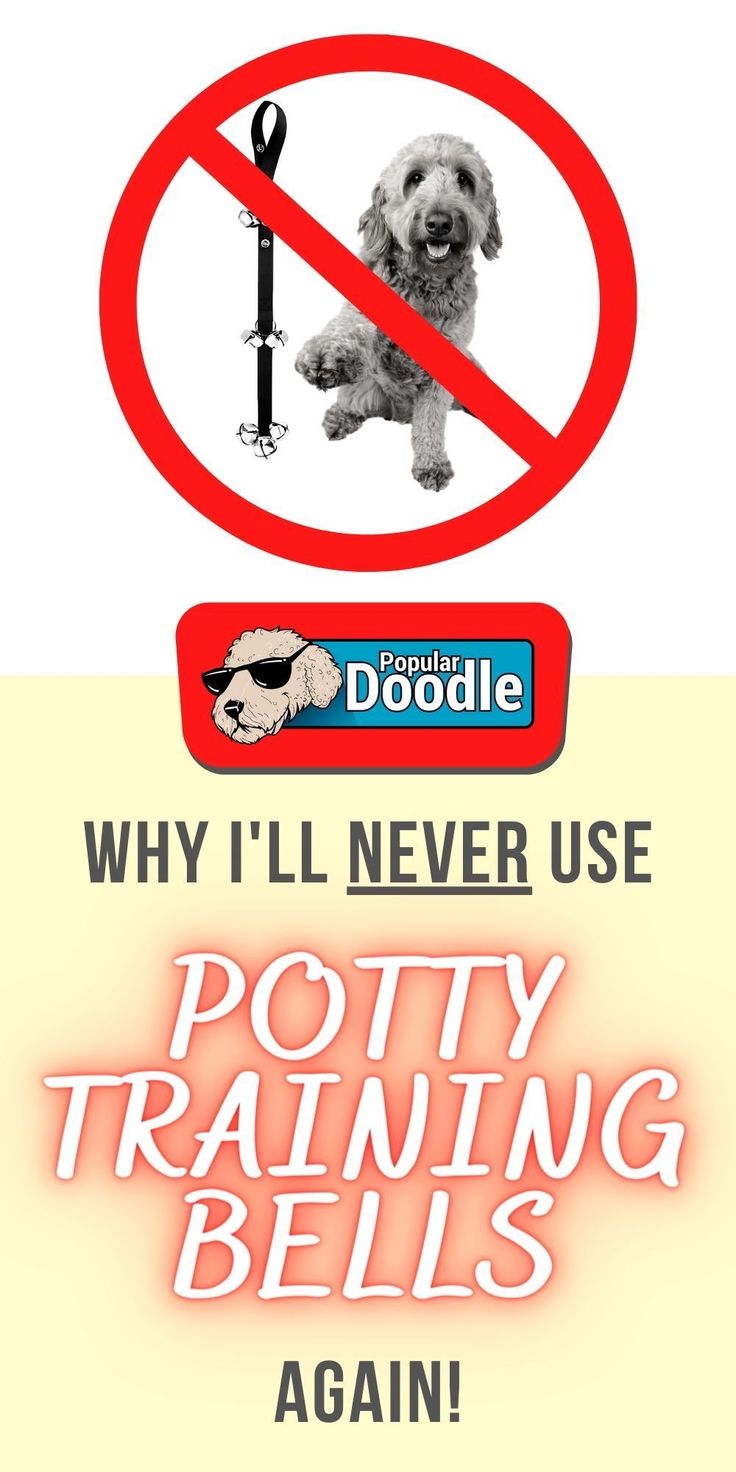 a sign that says, why i'll never use potty training bells again