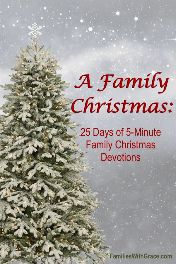 a christmas tree with the words family christmas 25 days of 5 - minute family christmas devotions