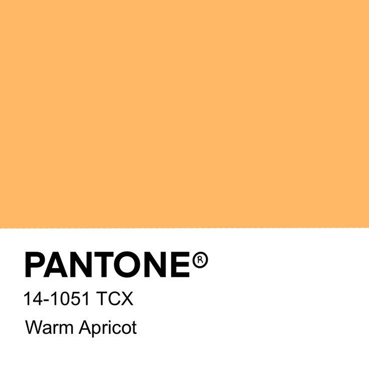 pantone's warm apricot color is shown in the image above it