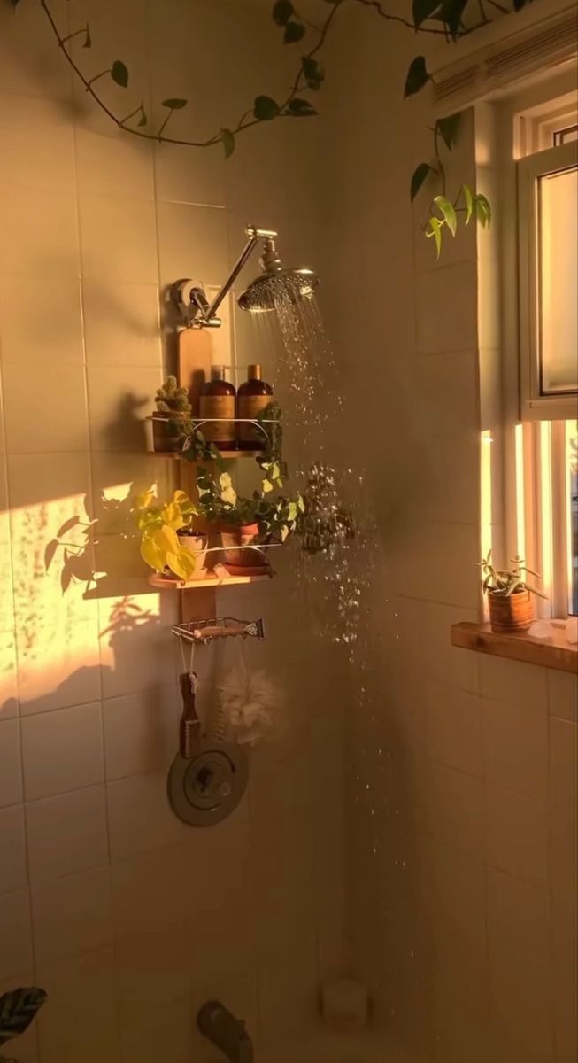 a shower head with water coming out of it and plants on the ledges above