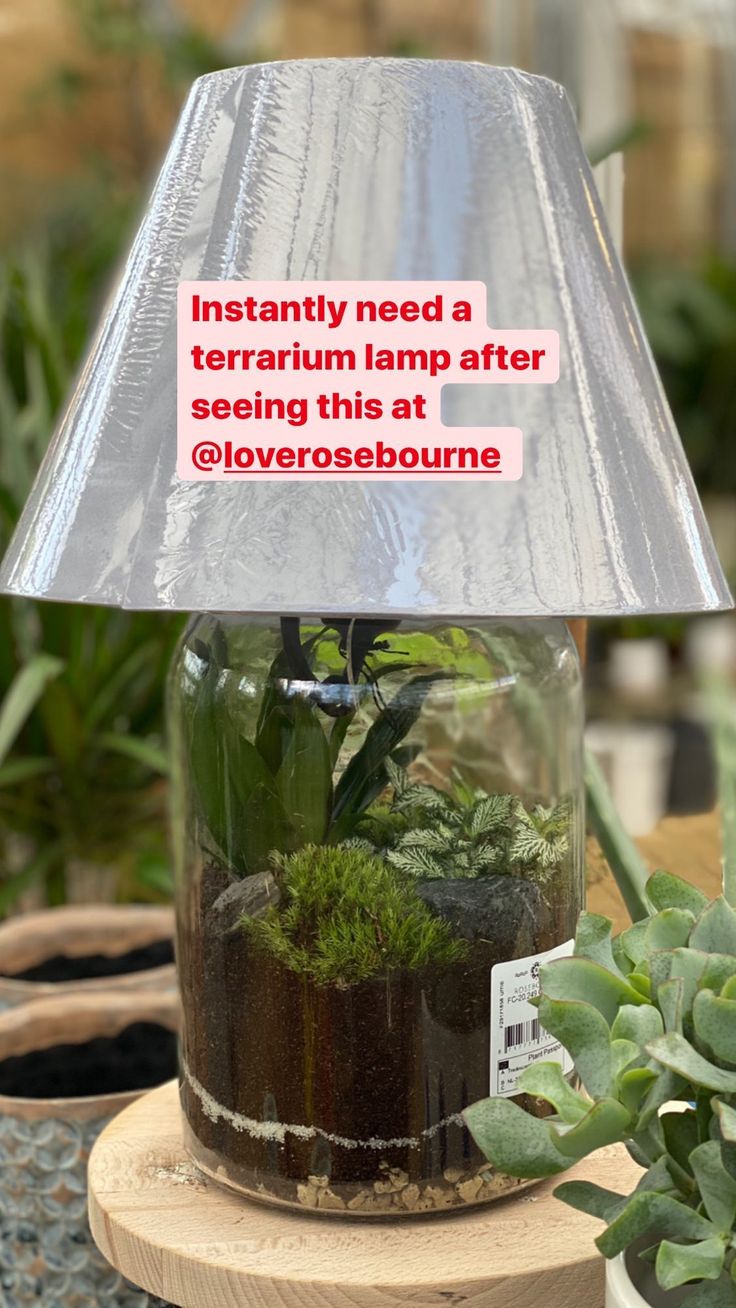 a lamp that is sitting on top of a wooden stand with plants in it and the words instantity need a terrarium lamp after seeing this at @loversbounce