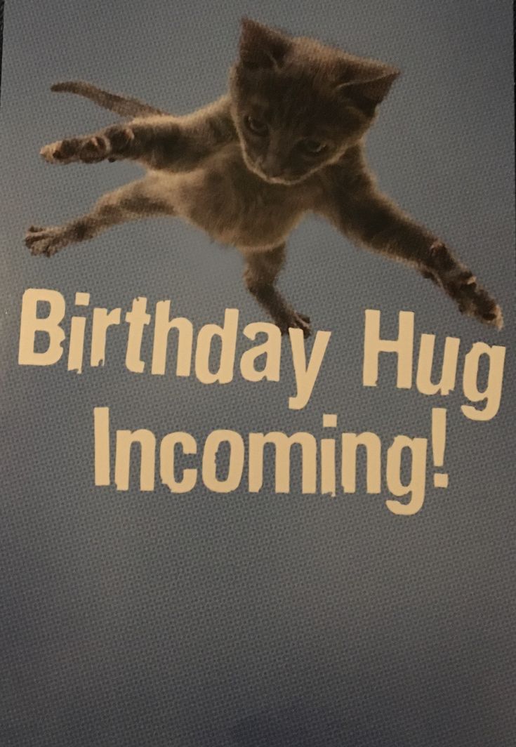 a cat is flying through the air with its paws in the air and it says, birthday hug incoming