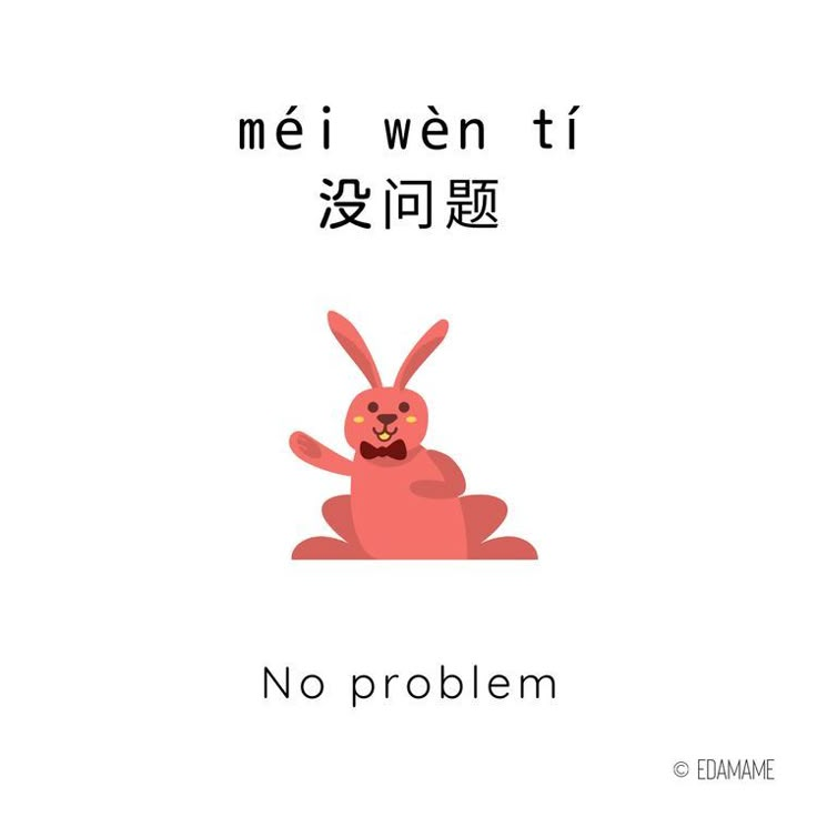 a rabbit with the words no problem written in english and chinese on it's back