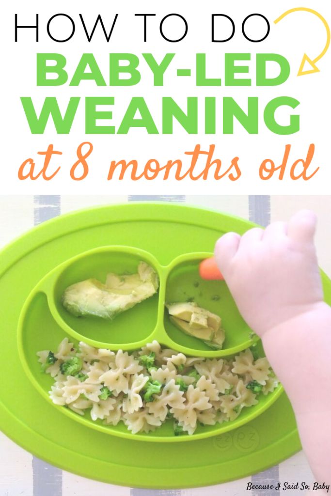 a green plate with some food in it and the words how to do baby - led weaning at 8 months old