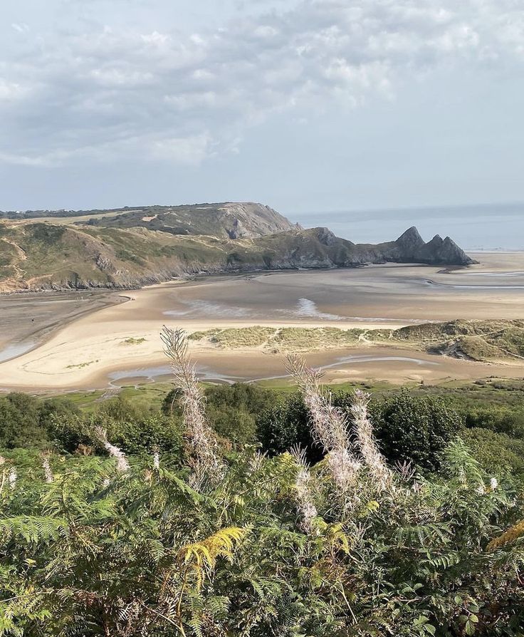 the beach is surrounded by trees and sand dunes, with low lying hills in the distance