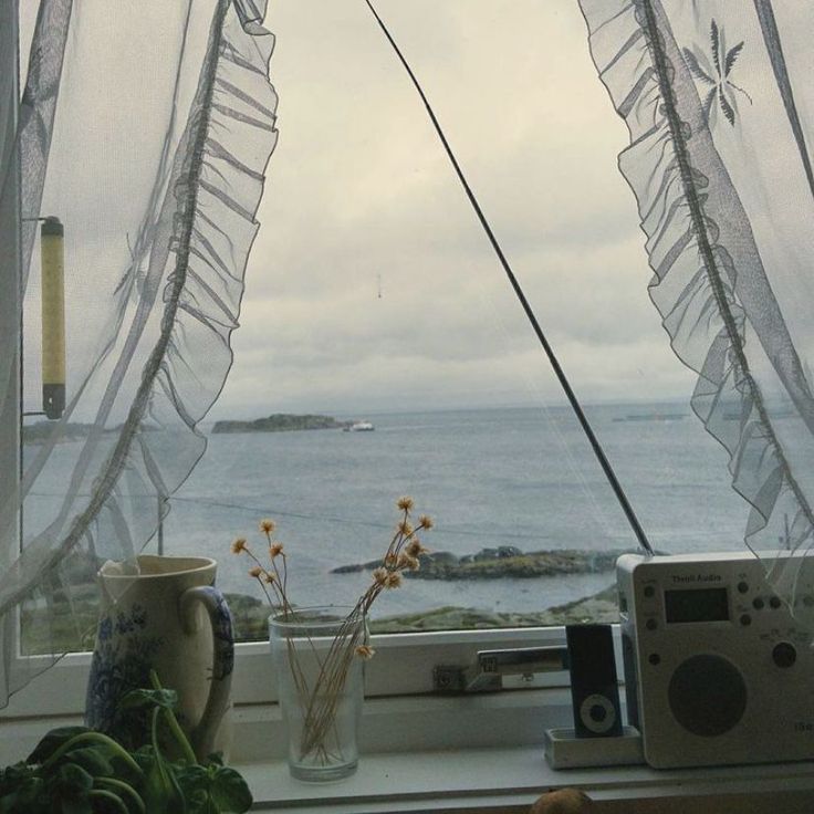 an open window overlooking the ocean with flowers in a vase and radio on a table