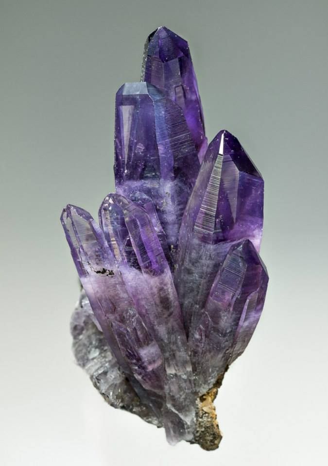 Amethyst Crystal on Pinterest | Crystals, Minerals and Crystal Cluster Amatitlan, Pretty Rocks, Crystal Magic, Beautiful Rocks, Mineral Stone, Minerals And Gemstones, Rocks And Gems, Purple Crystals, Gems And Minerals