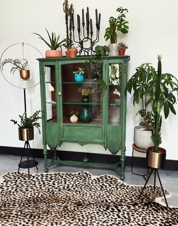 a green cabinet with potted plants on top in a room filled with animal print rugs