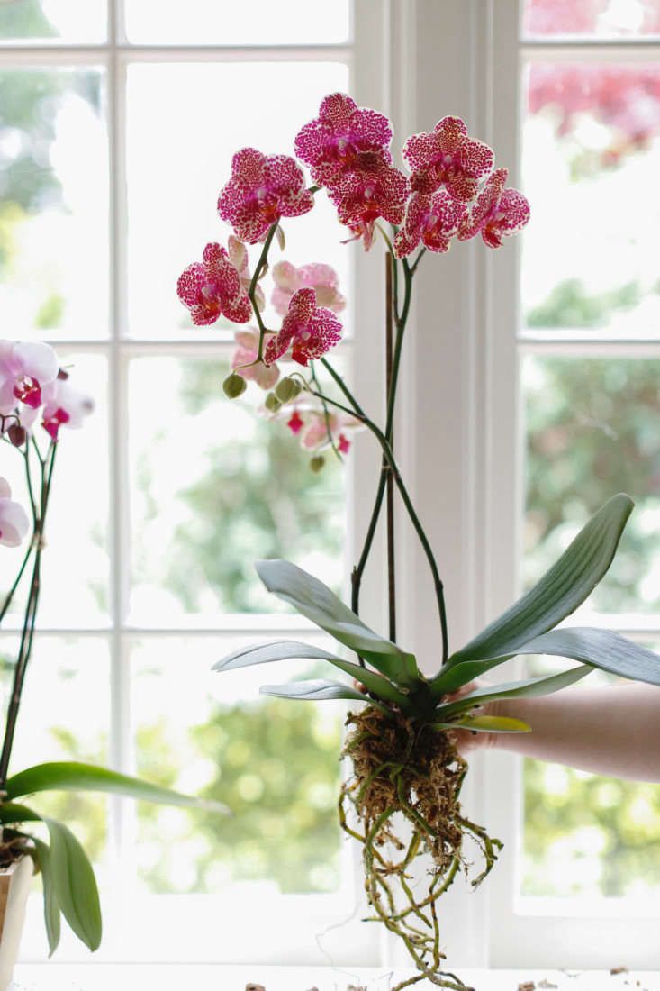 two vases with flowers in them sitting on a window sill