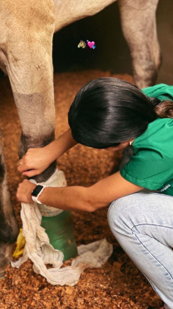 a woman in green shirt feeding a horse