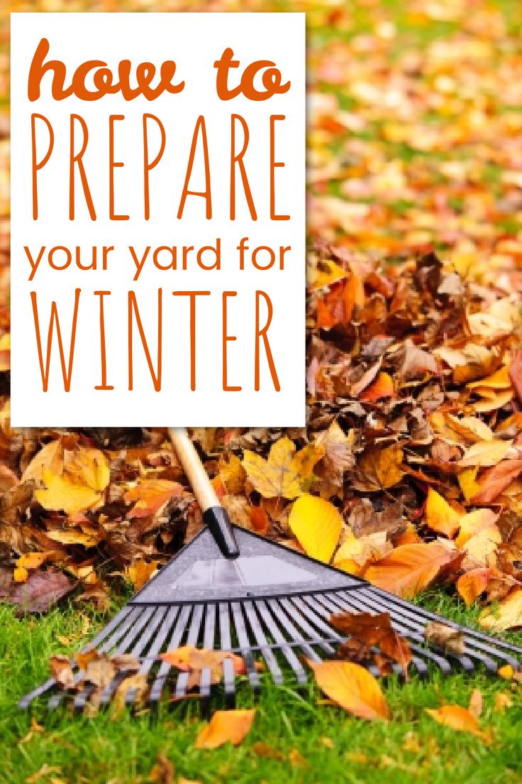 a sign that says how to prepare your yard for winter with leaves on the ground