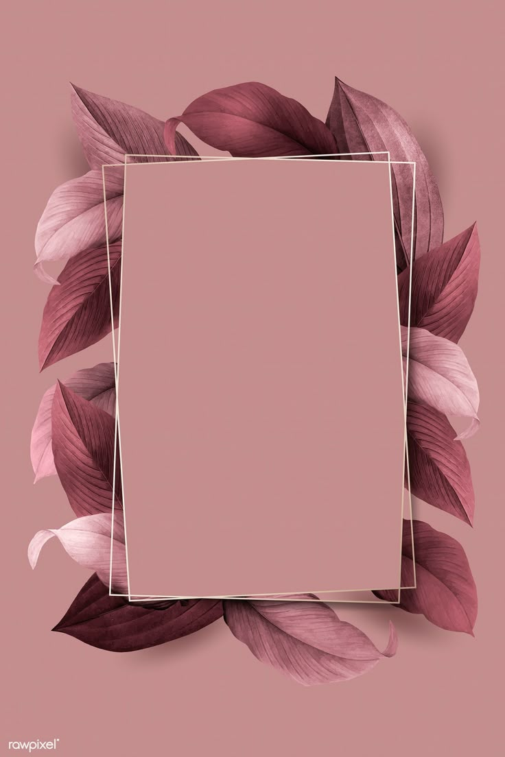 a square frame surrounded by leaves on a pink background with a white rectangle in the middle