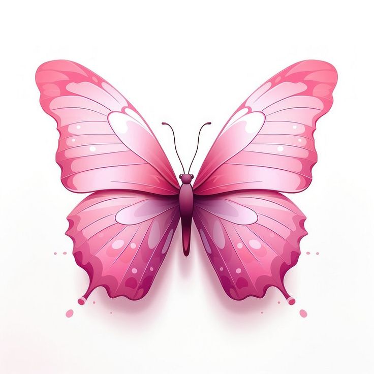 a pink butterfly on a white background