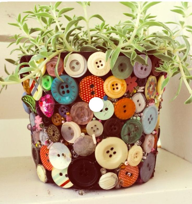 a potted plant sitting on top of a white shelf filled with lots of buttons