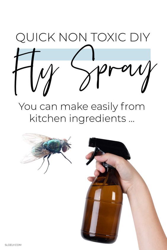 a hand holding a bottle with a fly spray on it and the words, quick non - toxic diy fly spray you can make easily from kitchen ingredients