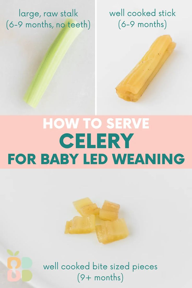 how to serve celery for baby led weaning with step by step instructions