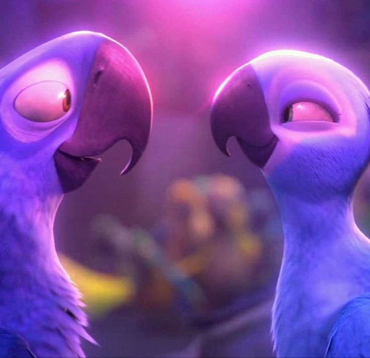 two large birds standing next to each other in front of a purple background with bright lights