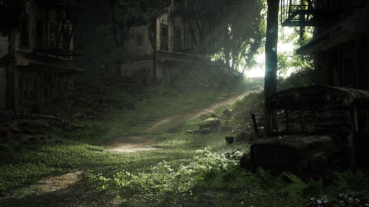 an old abandoned building in the middle of a forest at night with light coming through