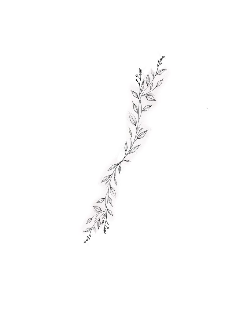 a drawing of a branch with leaves on it