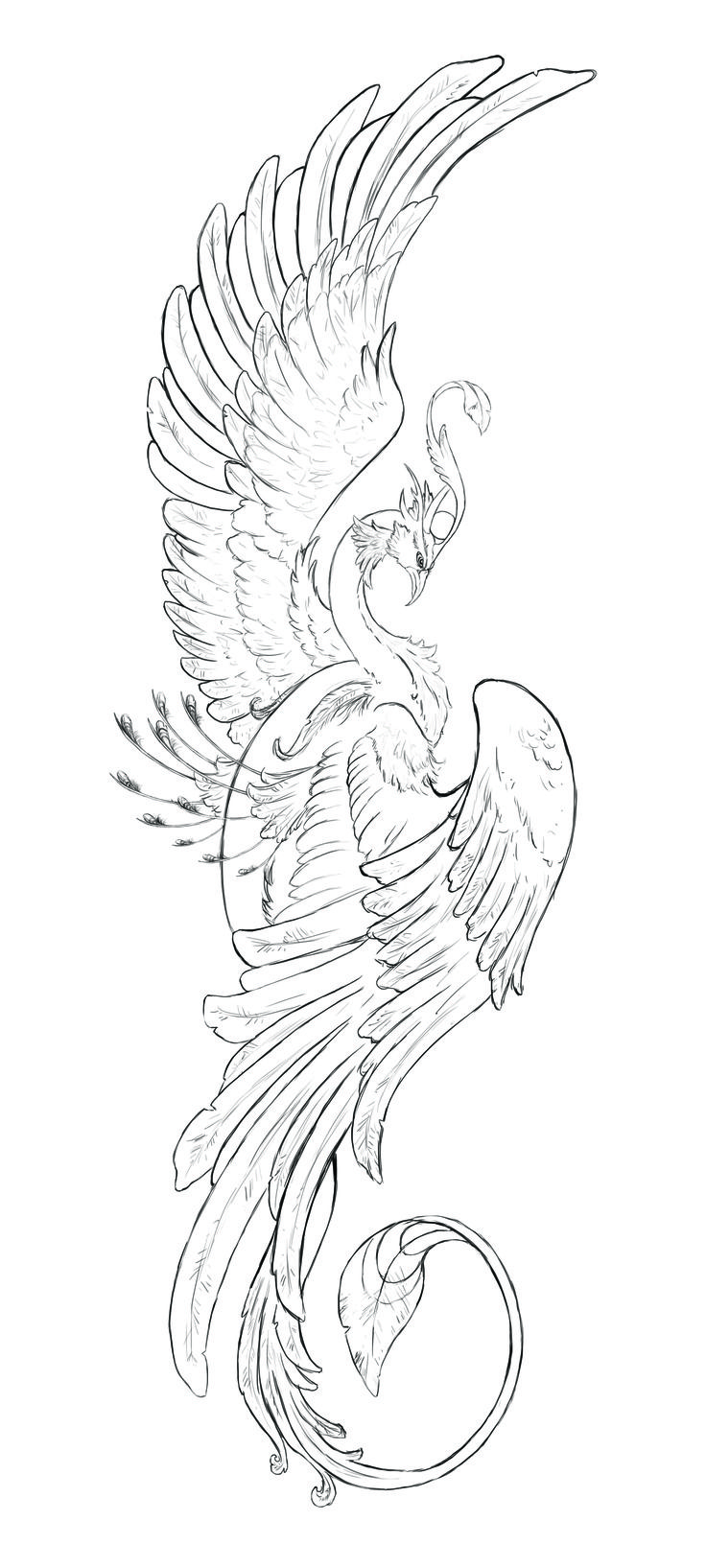 a black and white drawing of a bird with wings