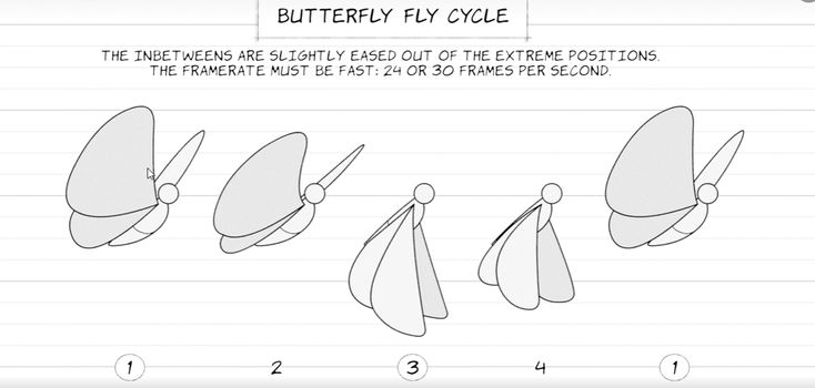 the instructions for how to draw a butterfly fly - by - eye style hat on lined paper