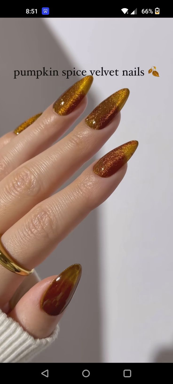 Jelly Velvet Nails, Orange Velvet Nails, Jelly Nails Fall, Amber Jelly Nails, Amber Cat Eye Nails, Fall Velvet Nails, Jelly Fall Nails, Gold Velvet Nails, Brown Velvet Nails