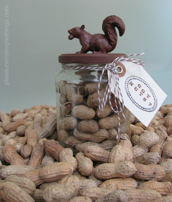 a jar filled with peanuts and a small wooden horse figurine