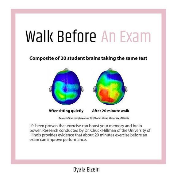 an exam poster with the words walk before an exam and two brain images on it