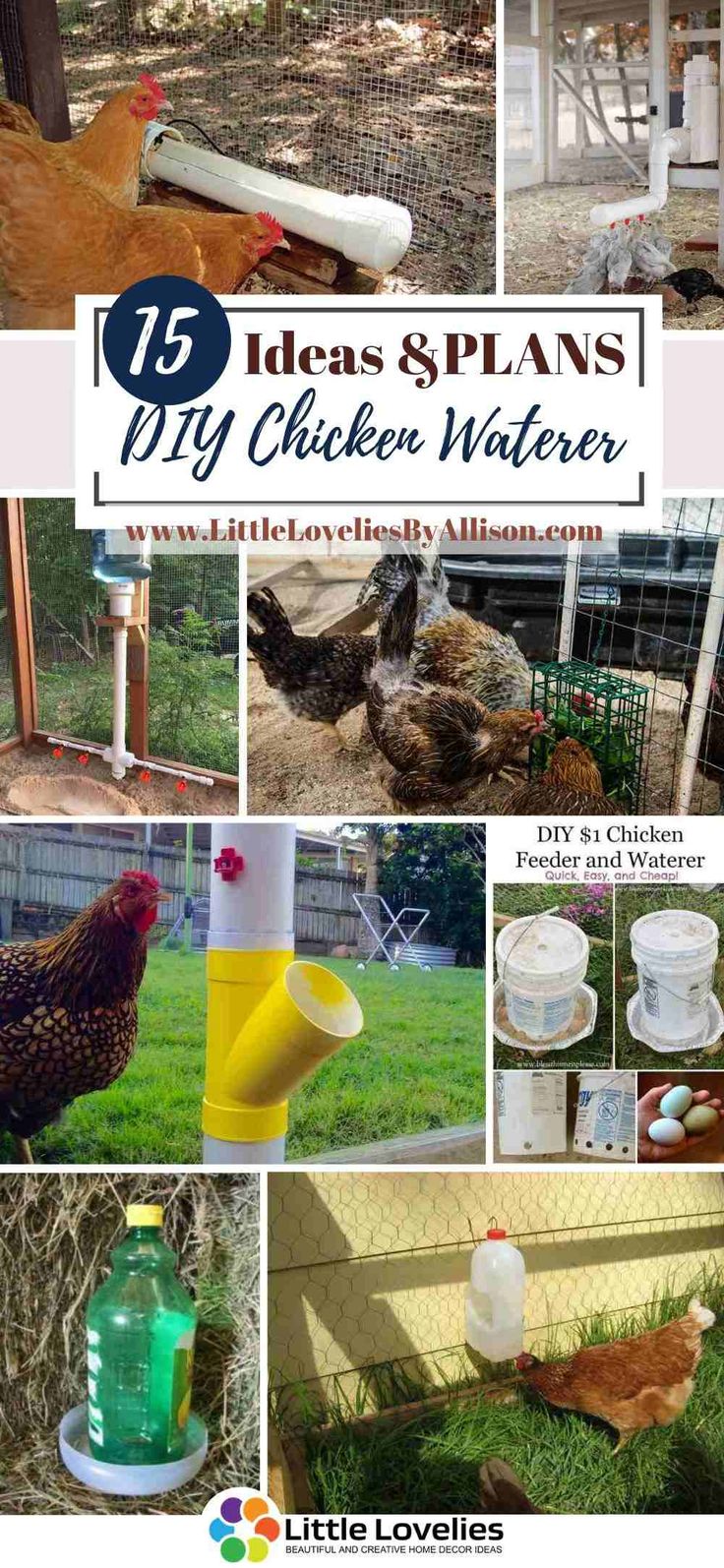 chickens and roosters in their backyard with text overlay that reads 15 ideas & plans diy chicken waterer