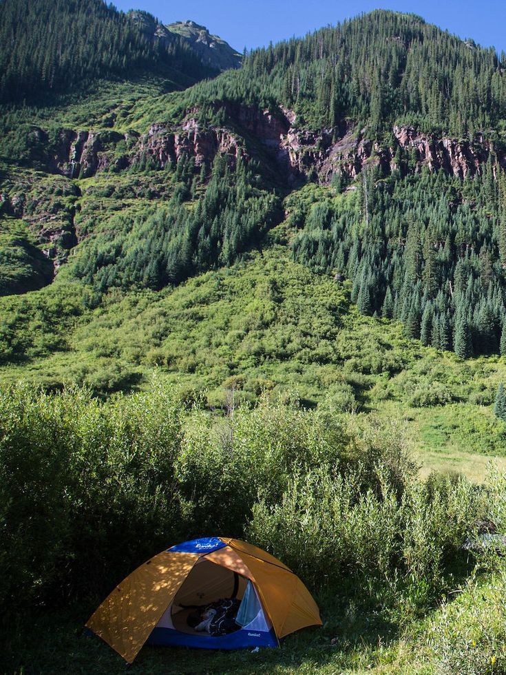 Dispersed tent camping in Colorado. Photo: Beth Cortez-Neavel Camping In Colorado, Camping Solo, Colorado Camping, Aesthetic Camping, Dispersed Camping, Camping Colorado, Road Trip To Colorado, Petrified Forest National Park, Lake Camping