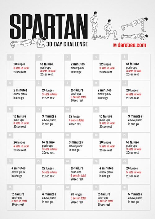 the spartan 30 - day challenge poster