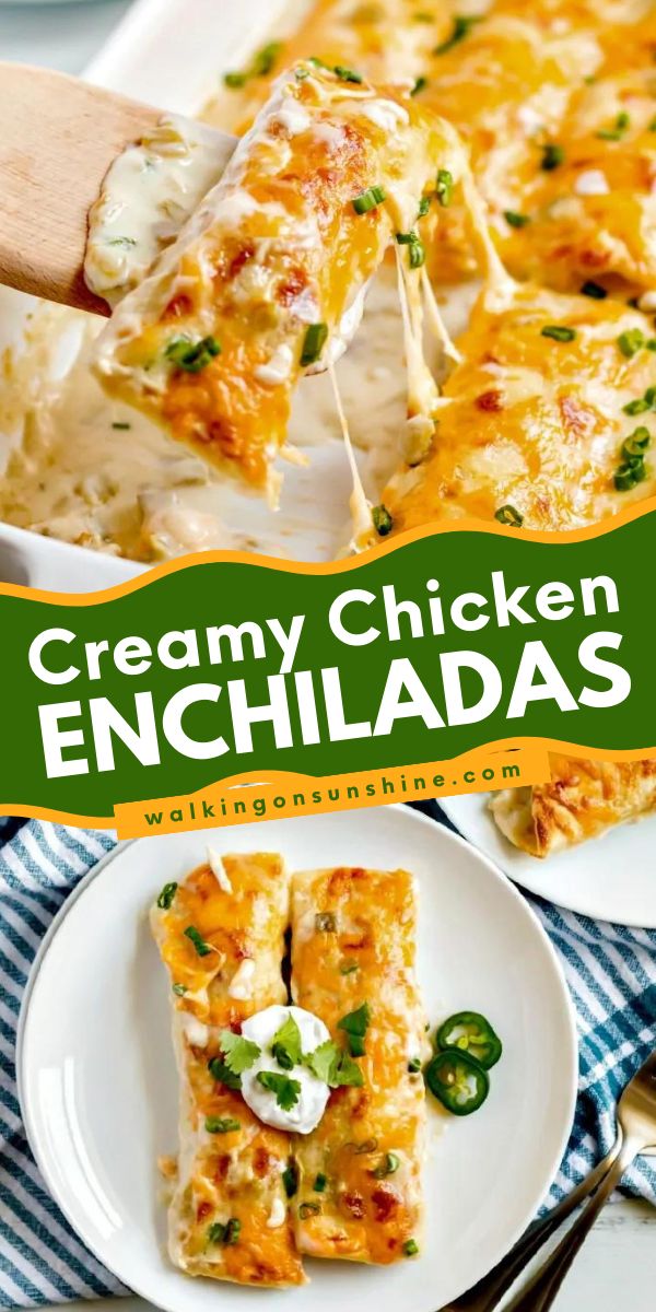 Have an amazing Cinco de Mayo dinner party with these easy chicken enchiladas! It's a quick and easy creamy chicken enchilada recipe that's delicious and so easy to make. Plus, it comes with freezing tips! Non Spicy Chicken Enchiladas, Enchiladas Chicken White Sauce, Meal Ideas For Dinner Chicken, Cheesy Chicken Enchilada Recipe, Chicken And Enchiladas, Easy White Chicken Enchilada Recipe, Chicken Enchiladas Easy White Sauce, Best Ever Chicken Enchiladas, Chicken Enchilada White Sauce