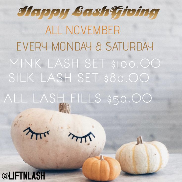 November Lash Special, Thanksgiving Lash Quotes, Lash Posts, Thanksgiving Hair, Lash Quotes, Eyelash Extensions Styles, Hello November, Long Books, Silk Lashes