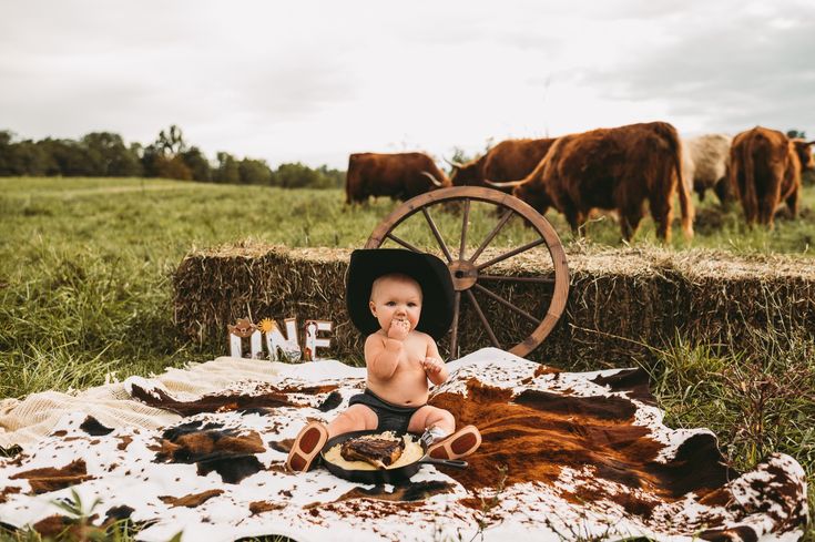 a baby sitting on top of a blanket in front of cows