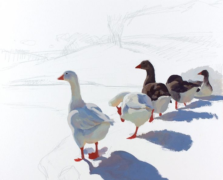 four ducks are walking in the snow together