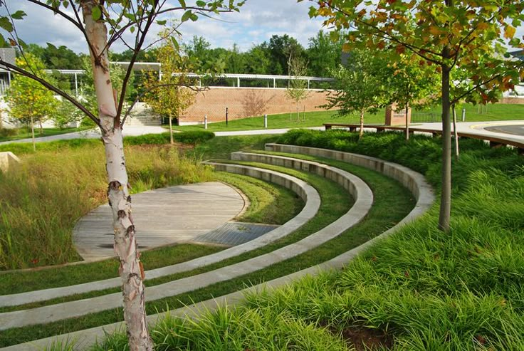 an outdoor area with curved concrete steps and trees in the foreground, surrounded by green grass