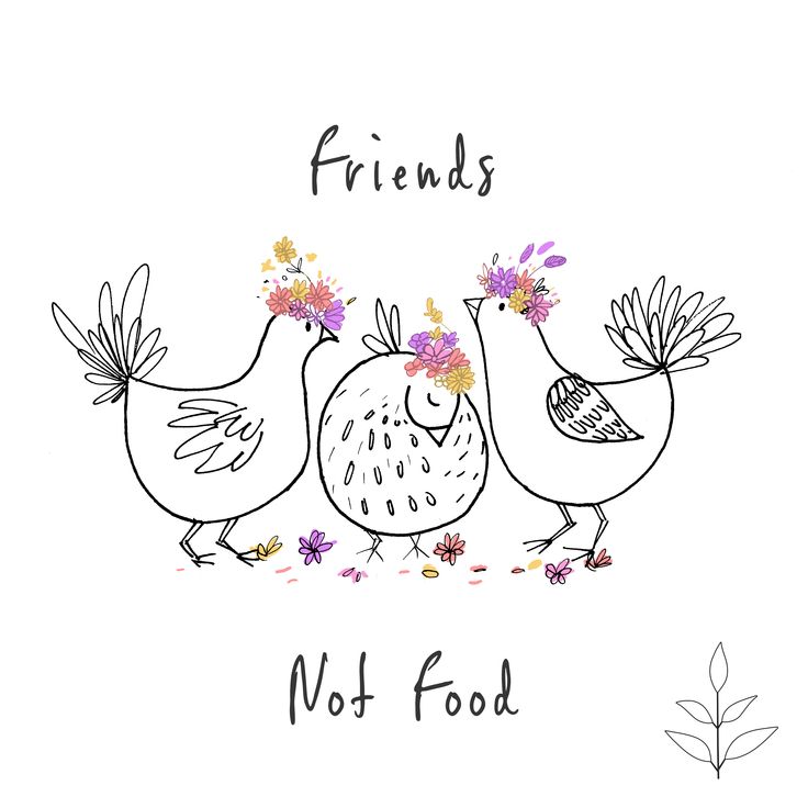 two chickens with flowers in their beaks and the words friends not food written on them