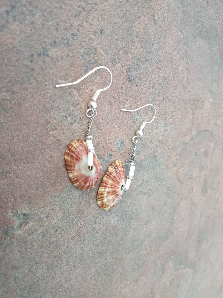 a pair of seashells are hanging from silver earwires on a stone surface