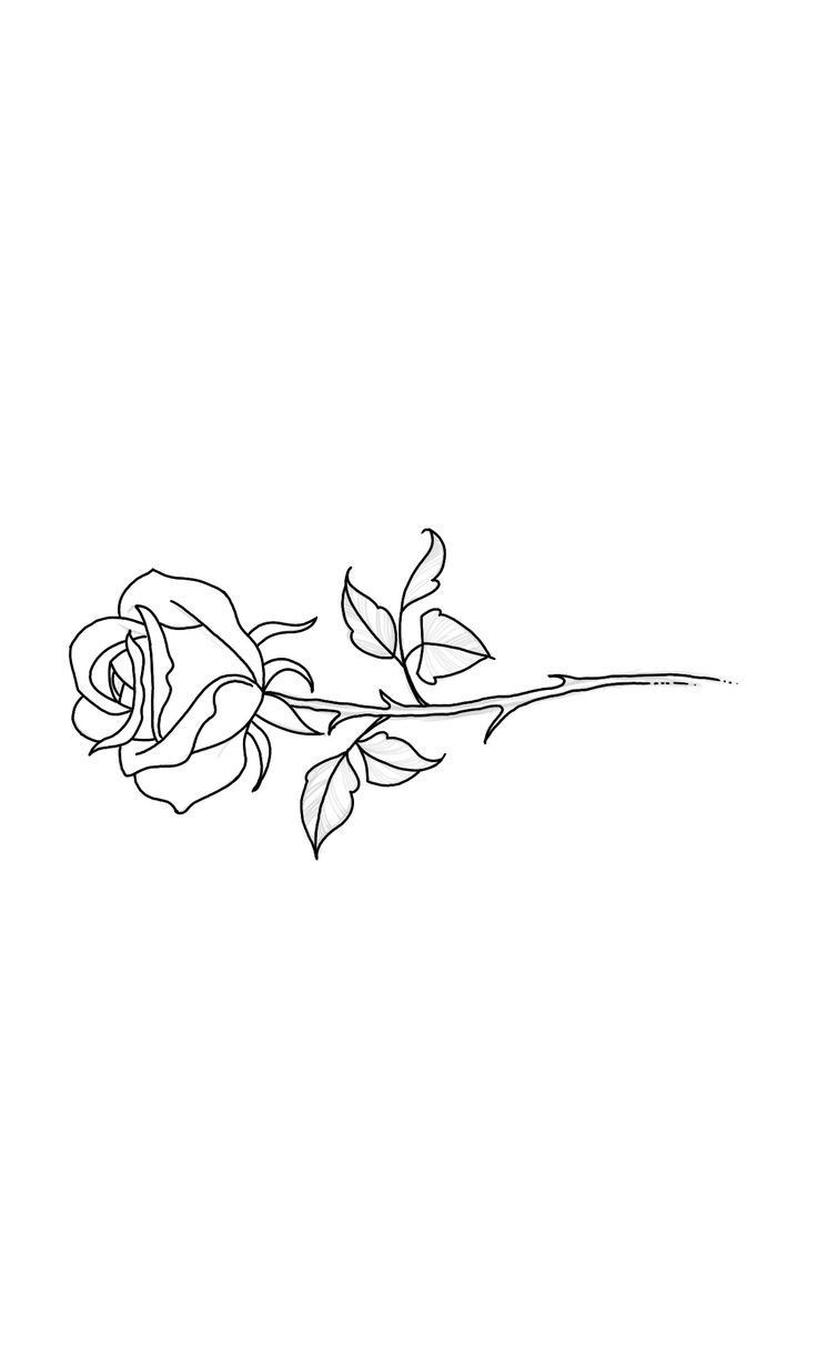 a drawing of a single rose on a white background