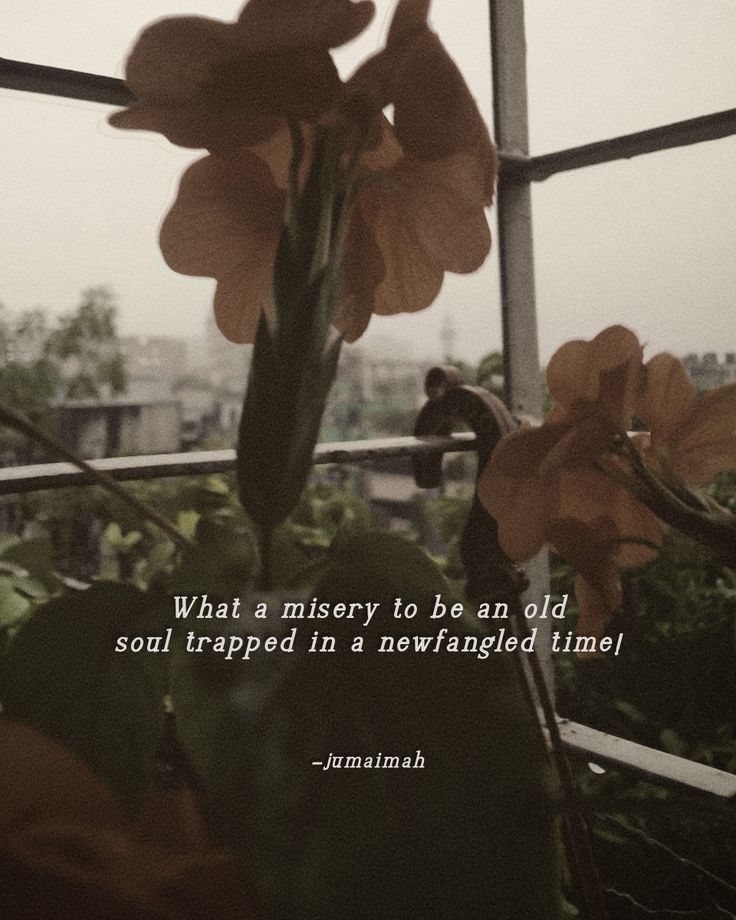 a flower with a quote on it sitting in front of a window sill that reads, what a mystery to be an old soul trapped in a untangled time