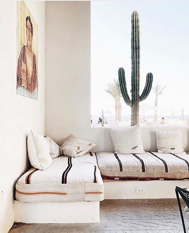 the instagram page shows an image of a couch and cactus in front of a window